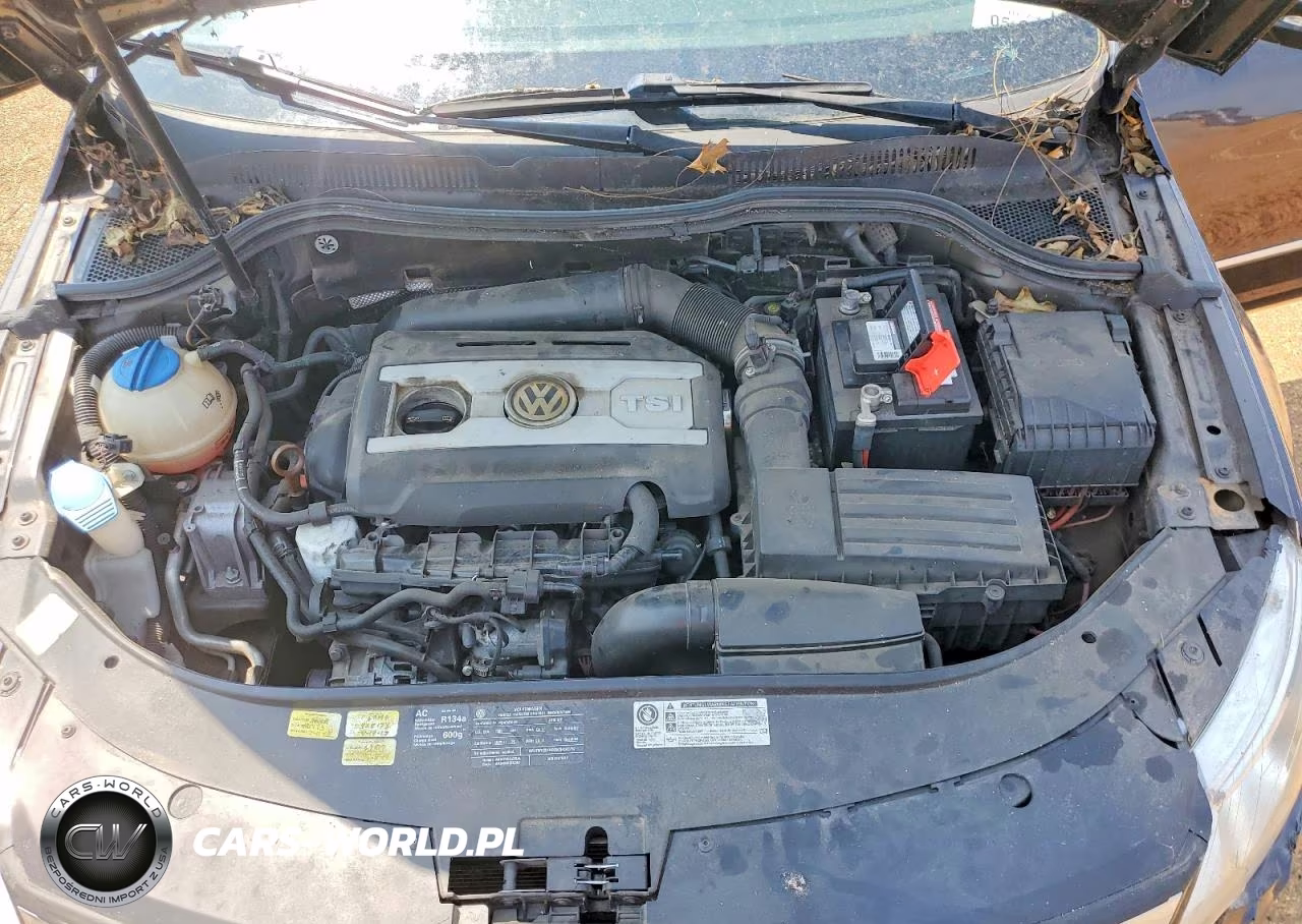 2010 Volkswagen Cc Luxury VIN:WVWHL7AN3AE517598 - 11
