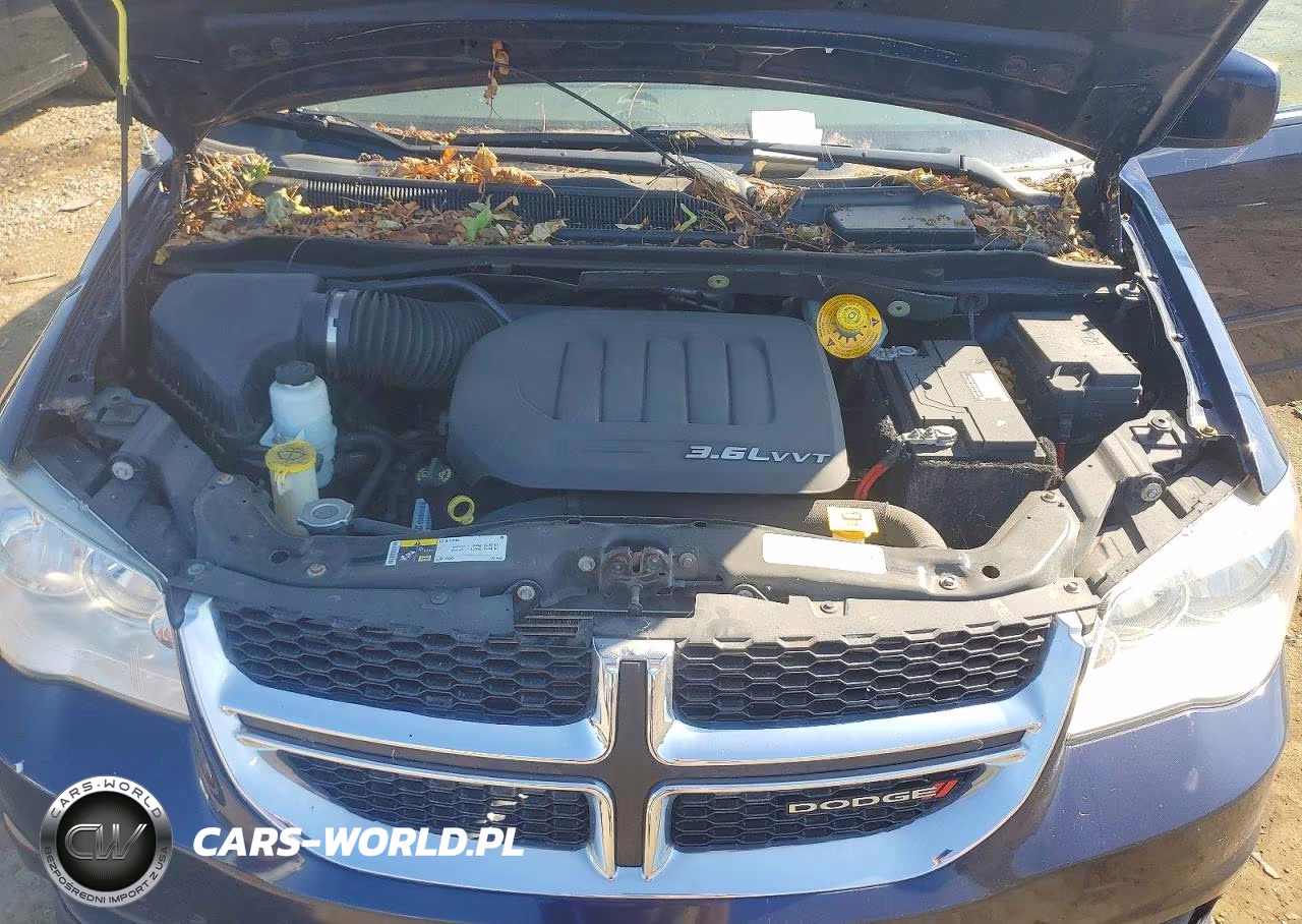 2016 Dodge Grand Caravan Sxt VIN:2C4RDGCG5GR212227 - 12