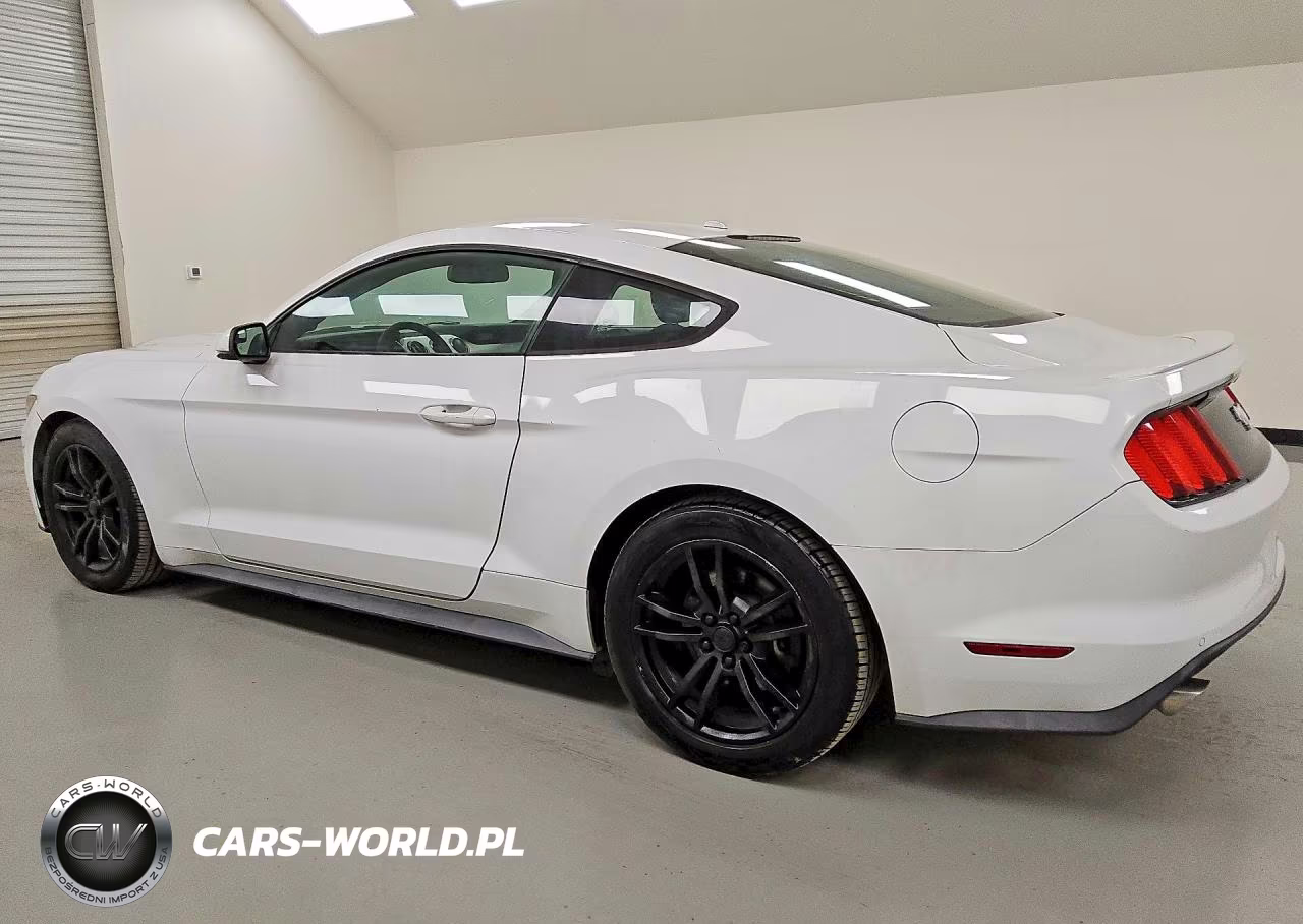 2017 Ford Mustang VIN:1FA6P8THXH5203262 - 2
