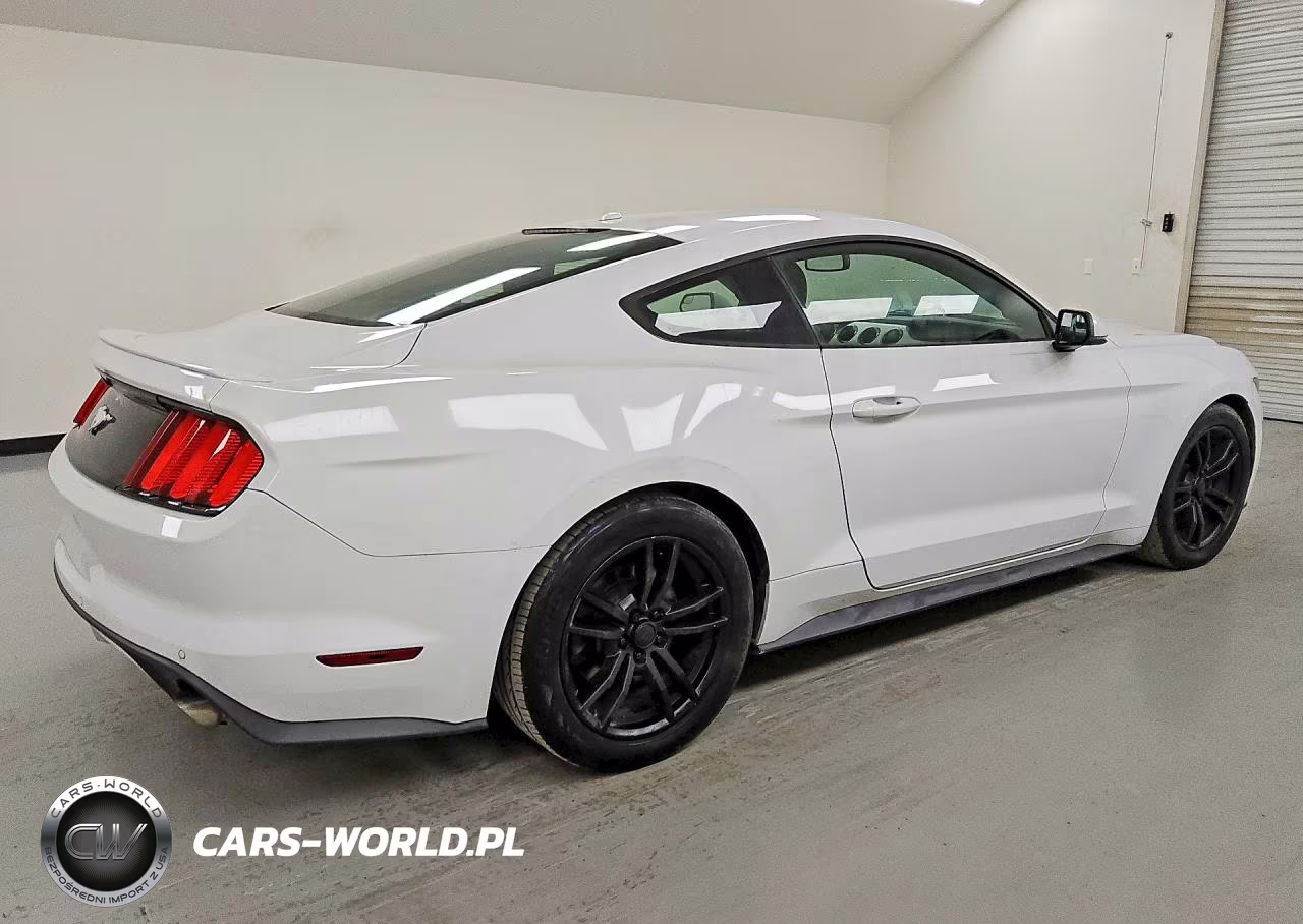 2017 Ford Mustang VIN:1FA6P8THXH5203262 - 3