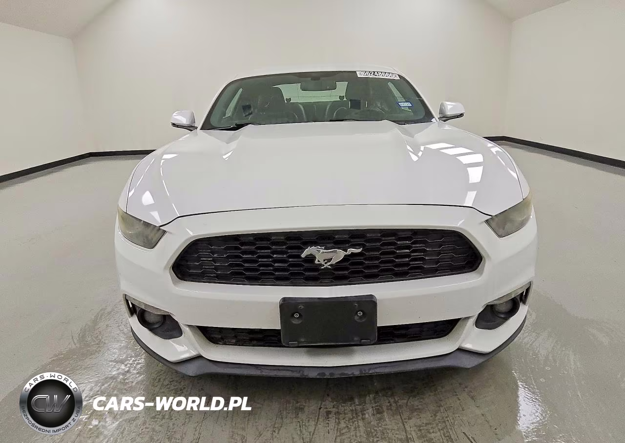 2017 Ford Mustang VIN:1FA6P8THXH5203262 - 5