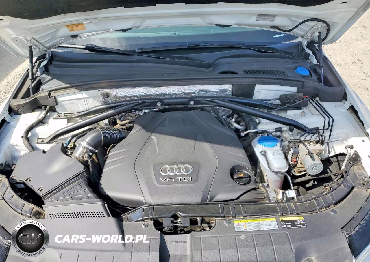 2016 Audi Q5 Tdi Premium Plus VIN:WA1CVAFP8GA024246 - 11
