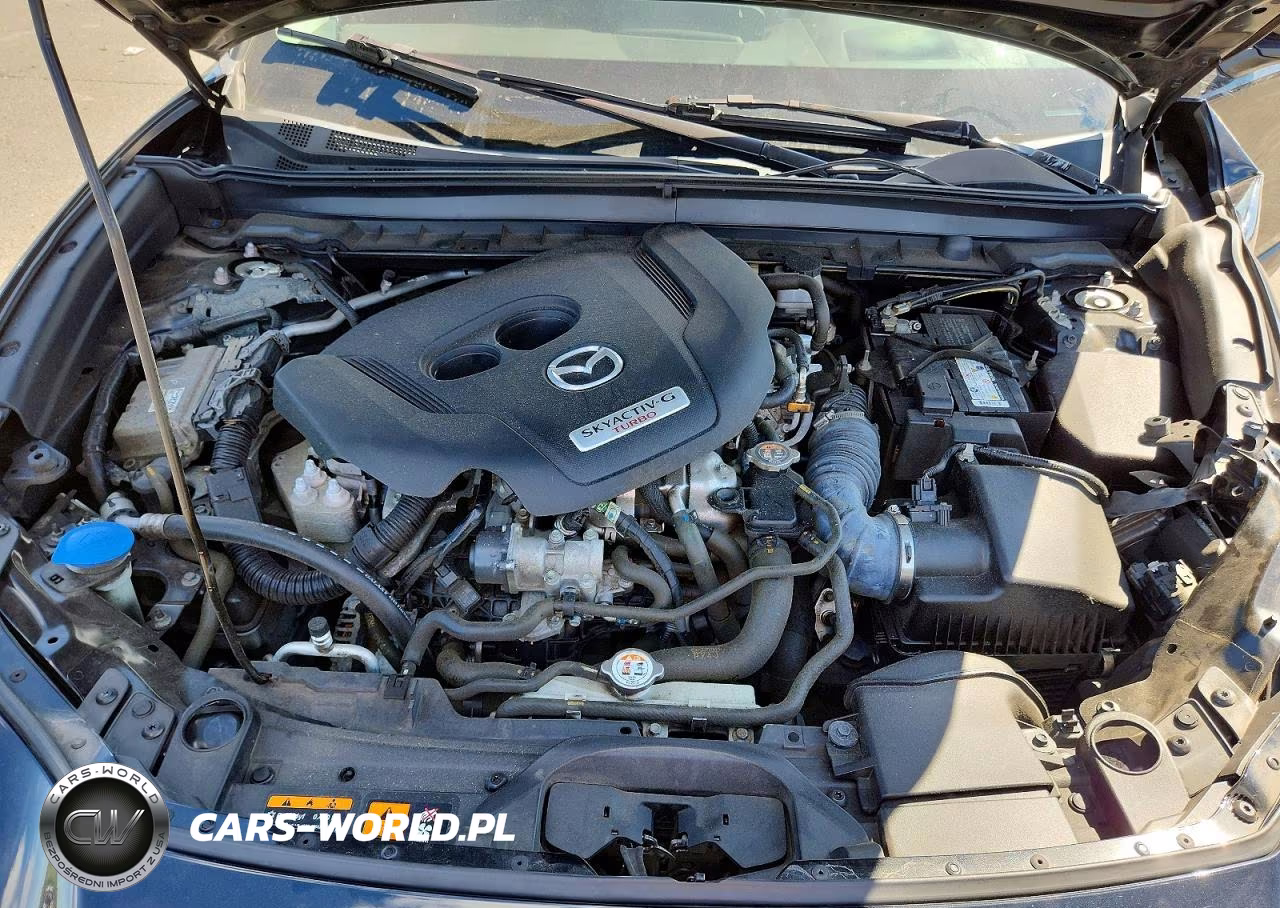 2022 Mazda Cx-30 Premium VIN:3MVDMBDY3NM452528 - 12
