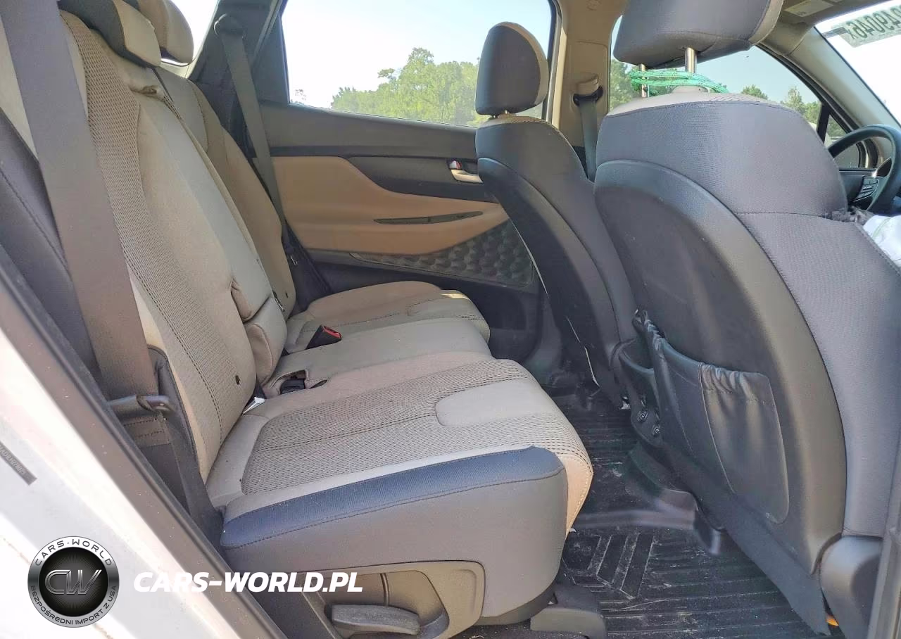 2020 Hyundai Santa Fe Sel VIN:5NMS33AD1LH278025 - 10