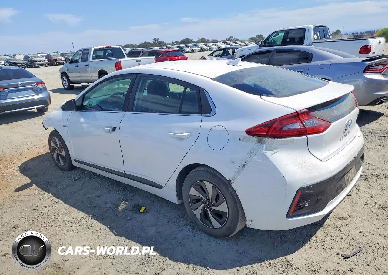 2018 Hyundai Ioniq Sel VIN:KMHC75LC5JU061748 - 2