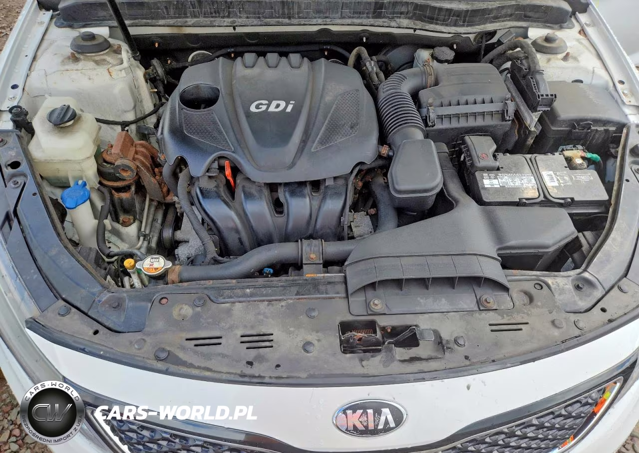2014 Kia Optima Ex VIN:5XXGN4A72EG336709 - 11