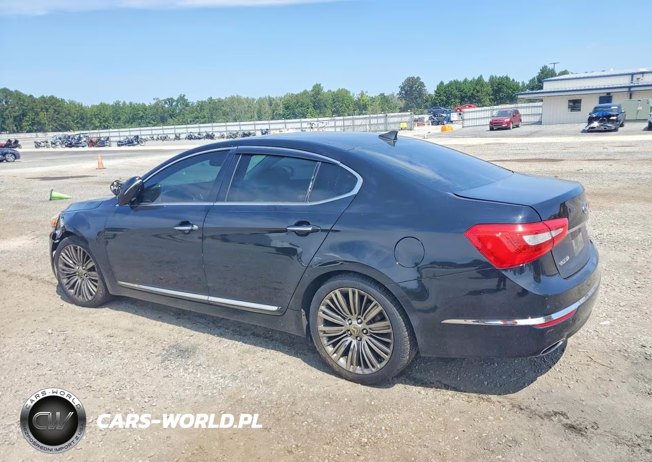2014 Kia Cadenza Limited VIN:KNALN4D79E5149656 - 2