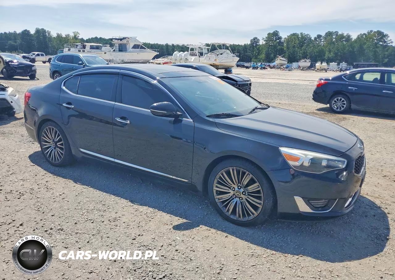 2014 Kia Cadenza Limited VIN:KNALN4D79E5149656 - 4