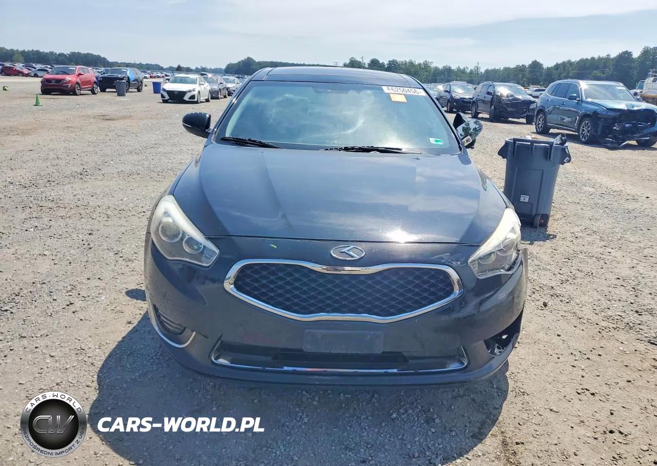 2014 Kia Cadenza Limited VIN:KNALN4D79E5149656 - 5