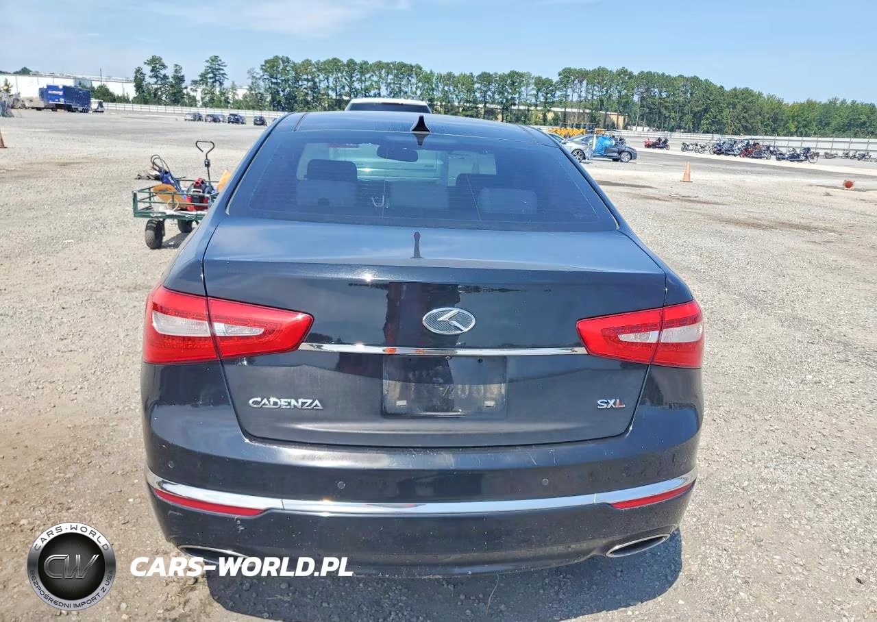 2014 Kia Cadenza Limited VIN:KNALN4D79E5149656 - 6
