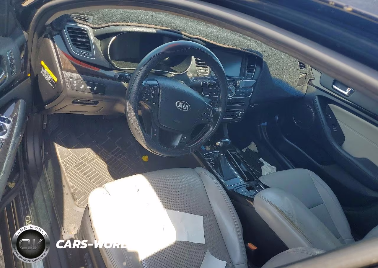 2014 Kia Cadenza Limited VIN:KNALN4D79E5149656 - 8