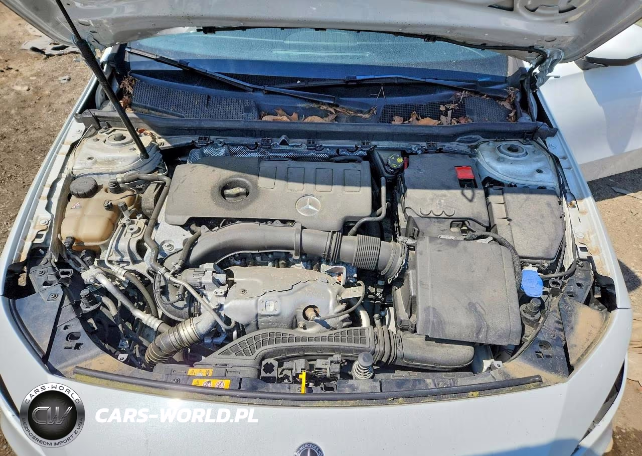 2019 Mercedes-Benz A 220 4Matic VIN:WDD3G4FB4KW023344 - 11