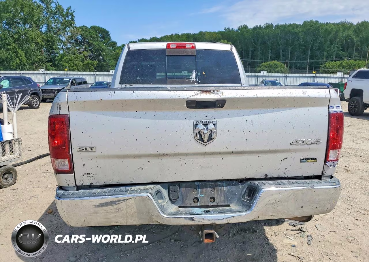 2009 Dodge Ram 1500 VIN:1D3HV18P99S807816 - 6