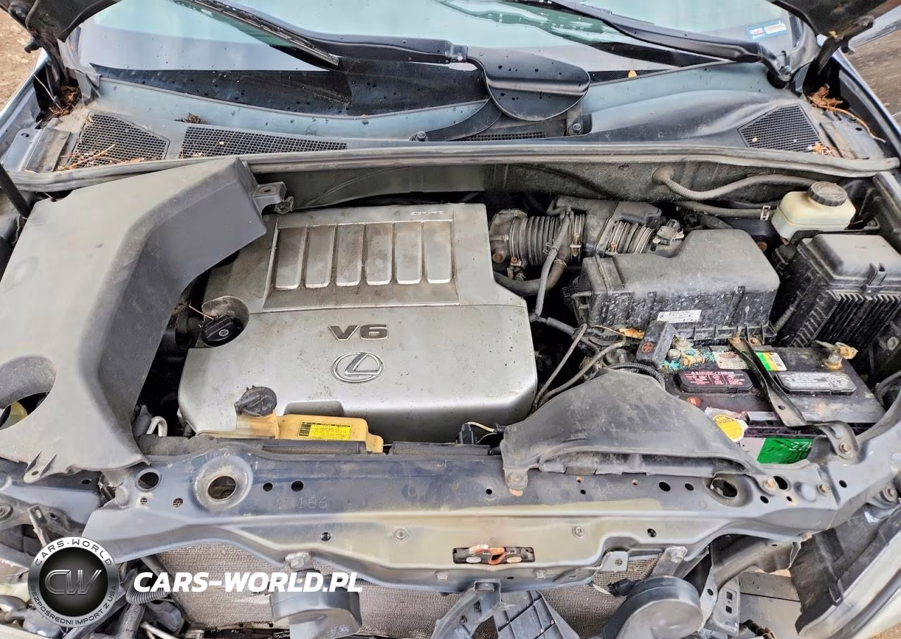 2009 Lexus Rx 350 VIN:2T2HK31U99C099111 - 12