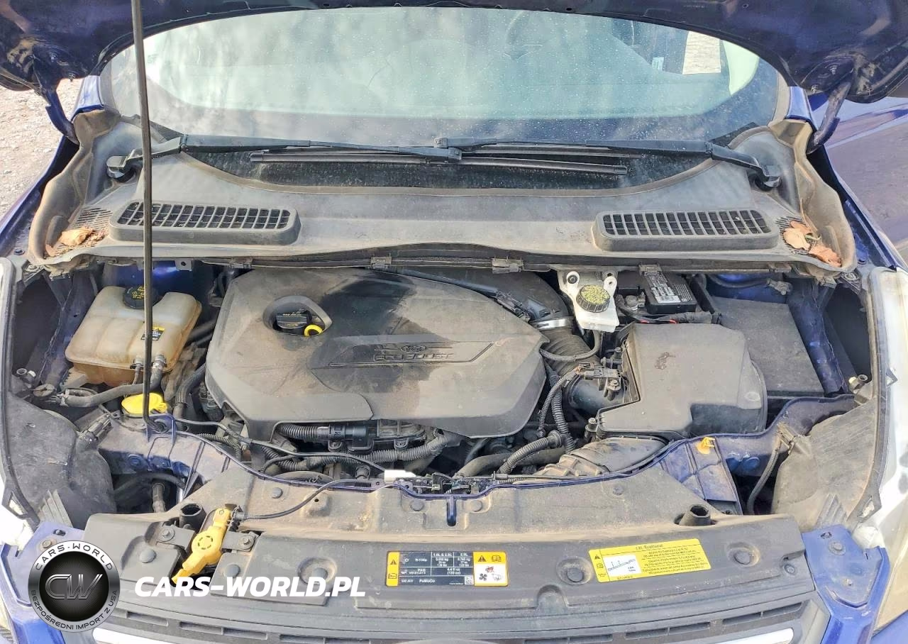 2013 Ford Escape Se VIN:1FMCU0GX9DUC85280 - 12