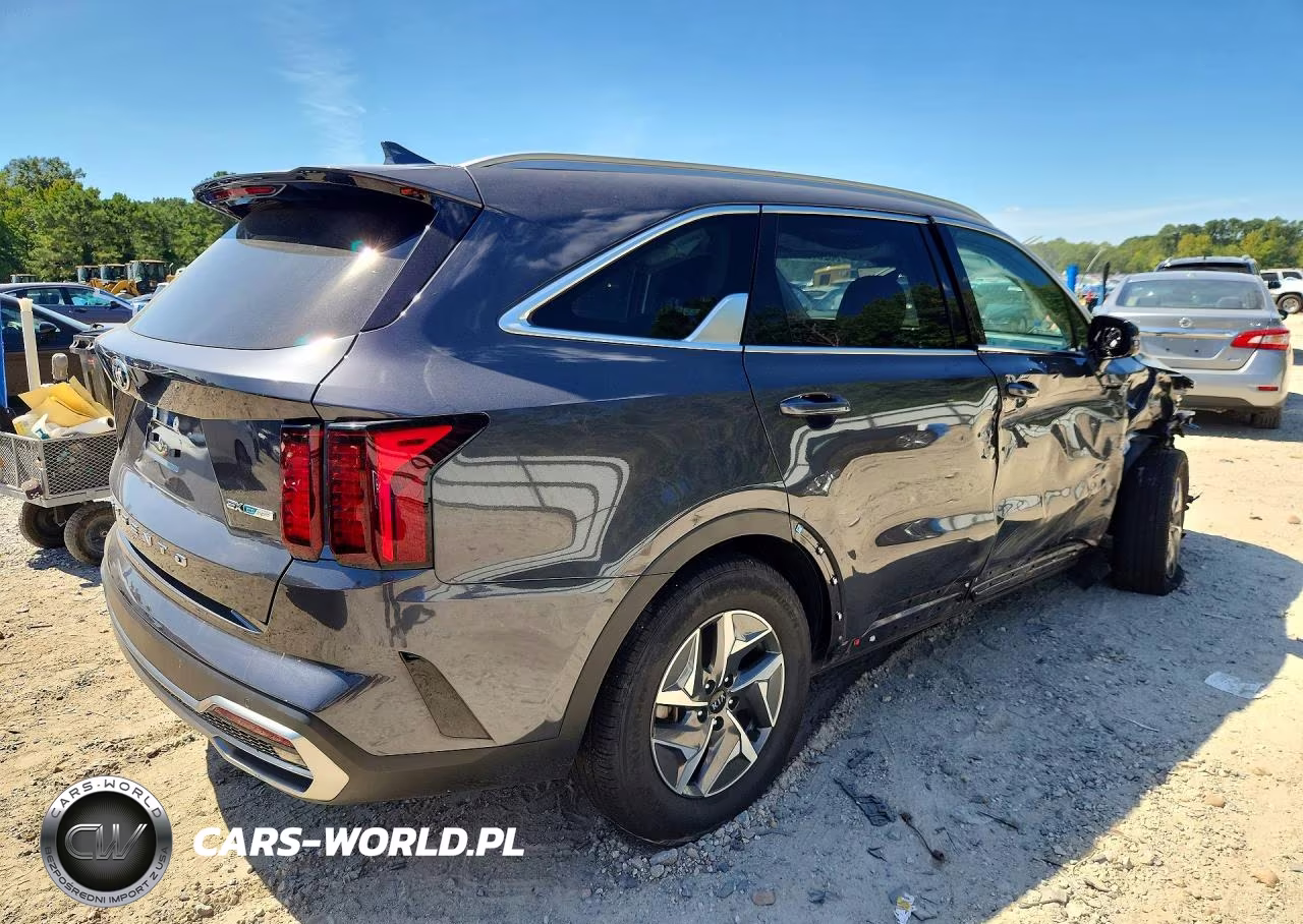 2021 Kia Sorento Ex VIN:KNDRH4LG6M5045162 - 3