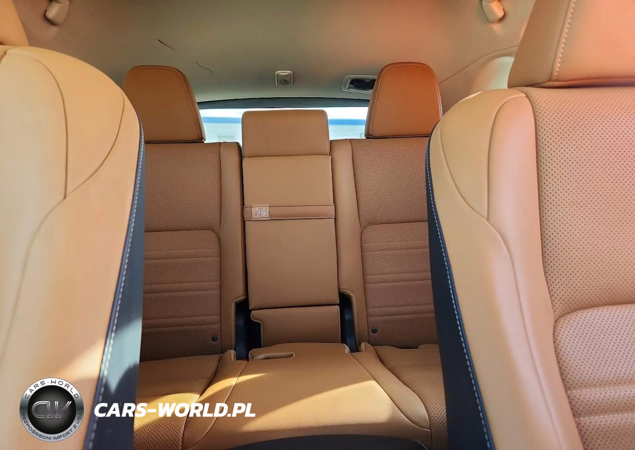 2021 Lexus Nx 300 Base VIN:JTJGARBZ6M2192978 - 10