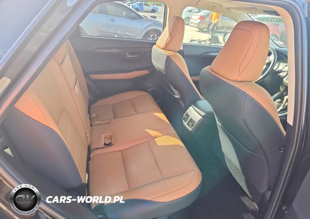 2021 Lexus Nx 300 Base VIN:JTJGARBZ6M2192978 - 11