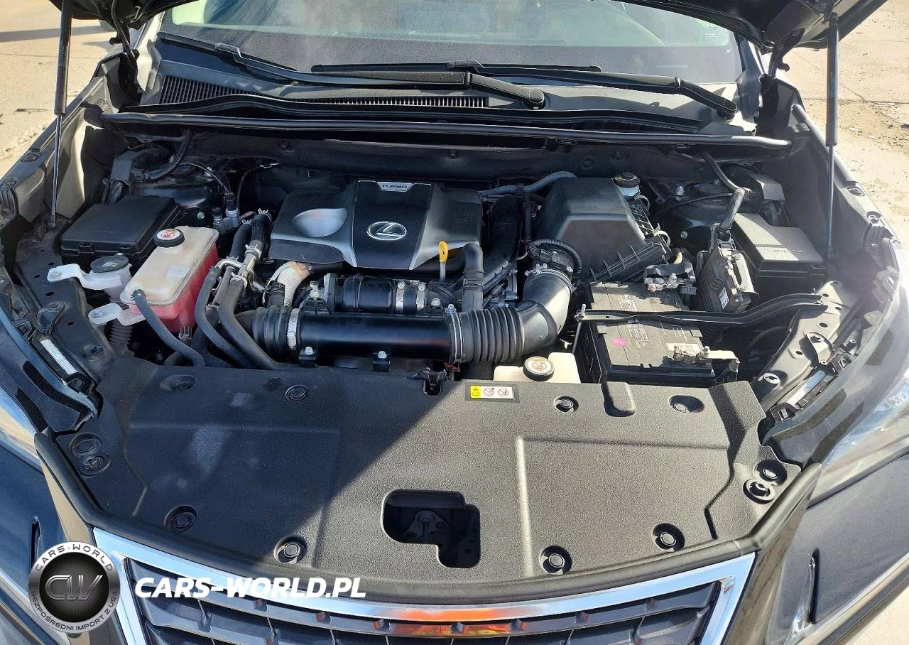 2021 Lexus Nx 300 Base VIN:JTJGARBZ6M2192978 - 12