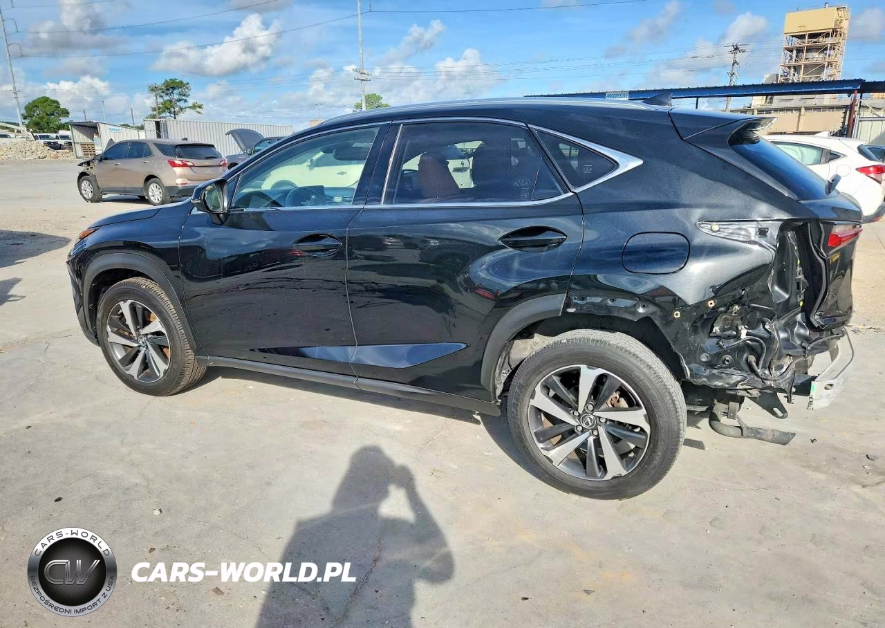 2021 Lexus Nx 300 Base VIN:JTJGARBZ6M2192978 - 2