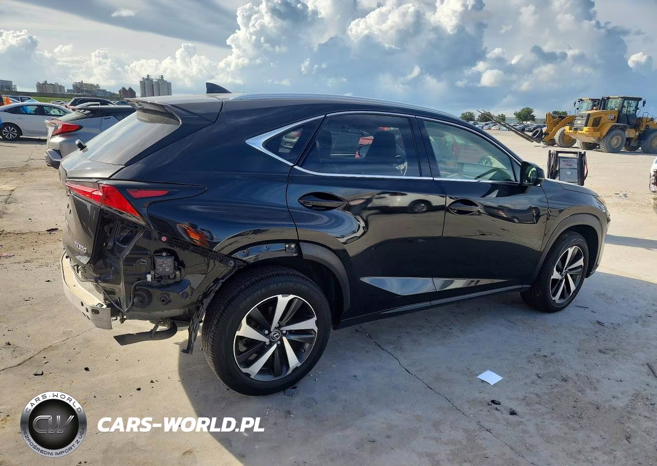 2021 Lexus Nx 300 Base VIN:JTJGARBZ6M2192978 - 3