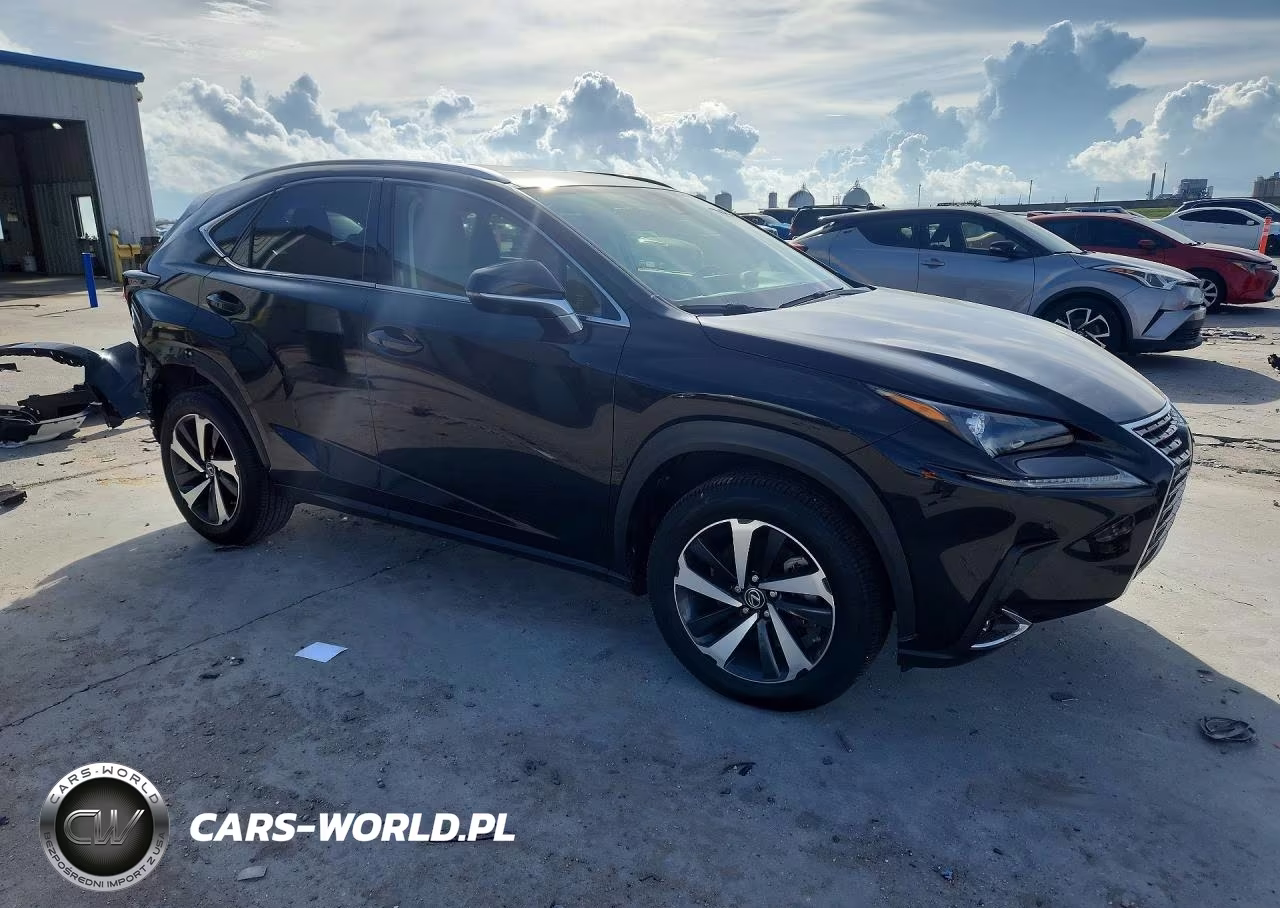 2021 Lexus Nx 300 Base VIN:JTJGARBZ6M2192978 - 4