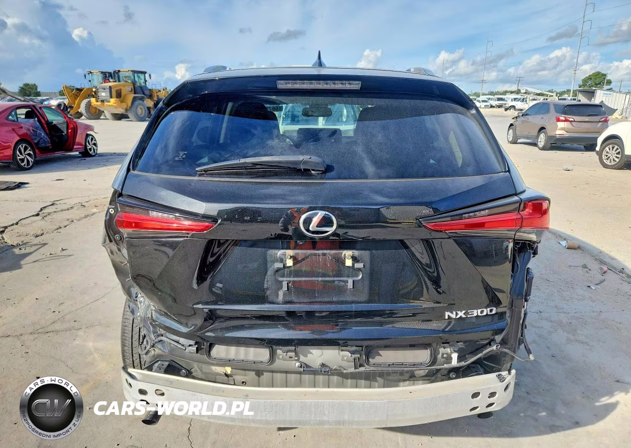 2021 Lexus Nx 300 Base VIN:JTJGARBZ6M2192978 - 6