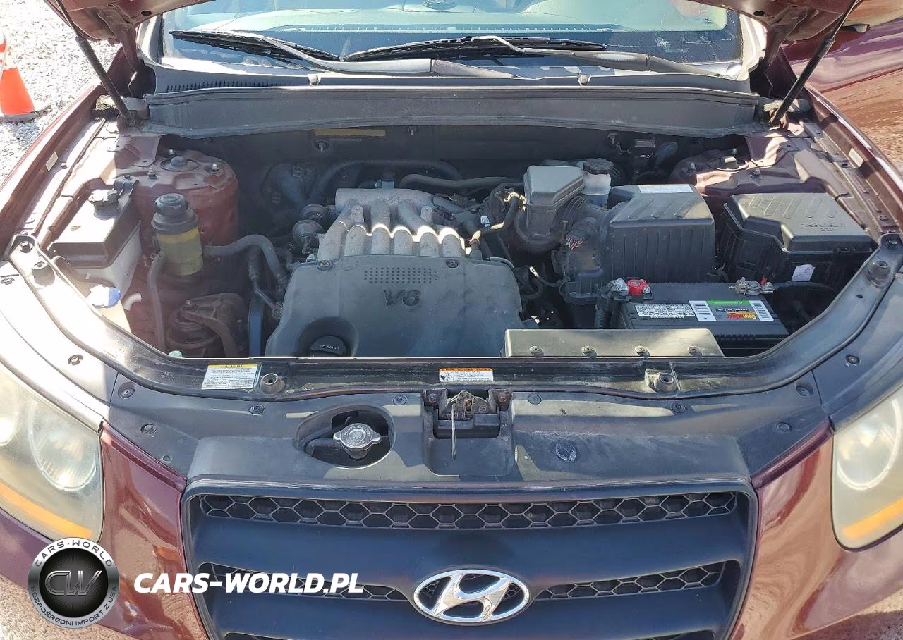 2008 Hyundai Santa Fe Gls VIN:5NMSG13D28H225878 - 12