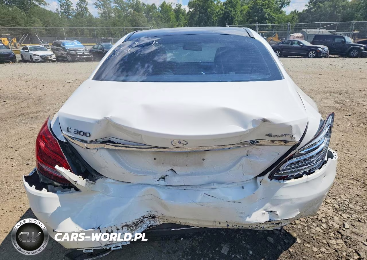 2017 Mercedes-Benz C 300 4Matic VIN:55SWF4KB8HU216432 - 6
