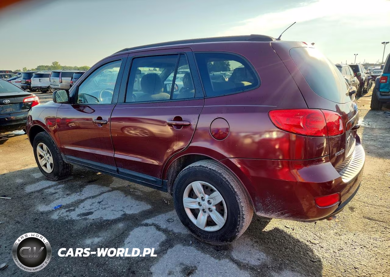 2009 Hyundai Santa Fe Gls VIN:5NMSG13D59H247603 - 2