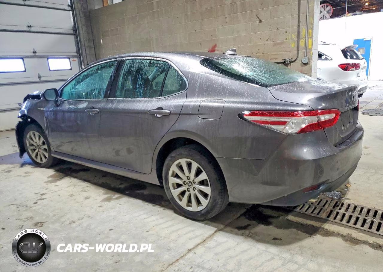 2019 Toyota Camry Hybrid Xle VIN:4T1B21HK1KU513862 - 2
