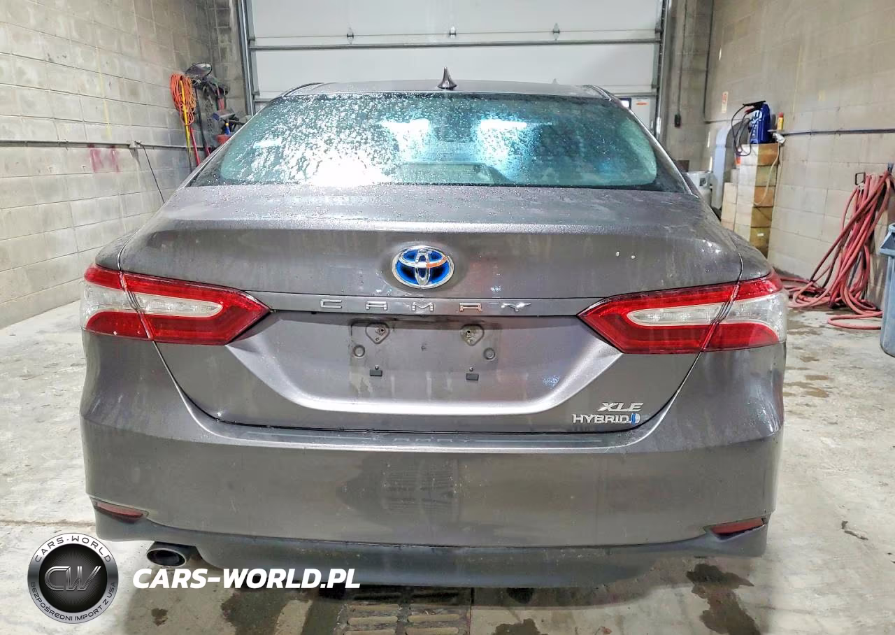 2019 Toyota Camry Hybrid Xle VIN:4T1B21HK1KU513862 - 6