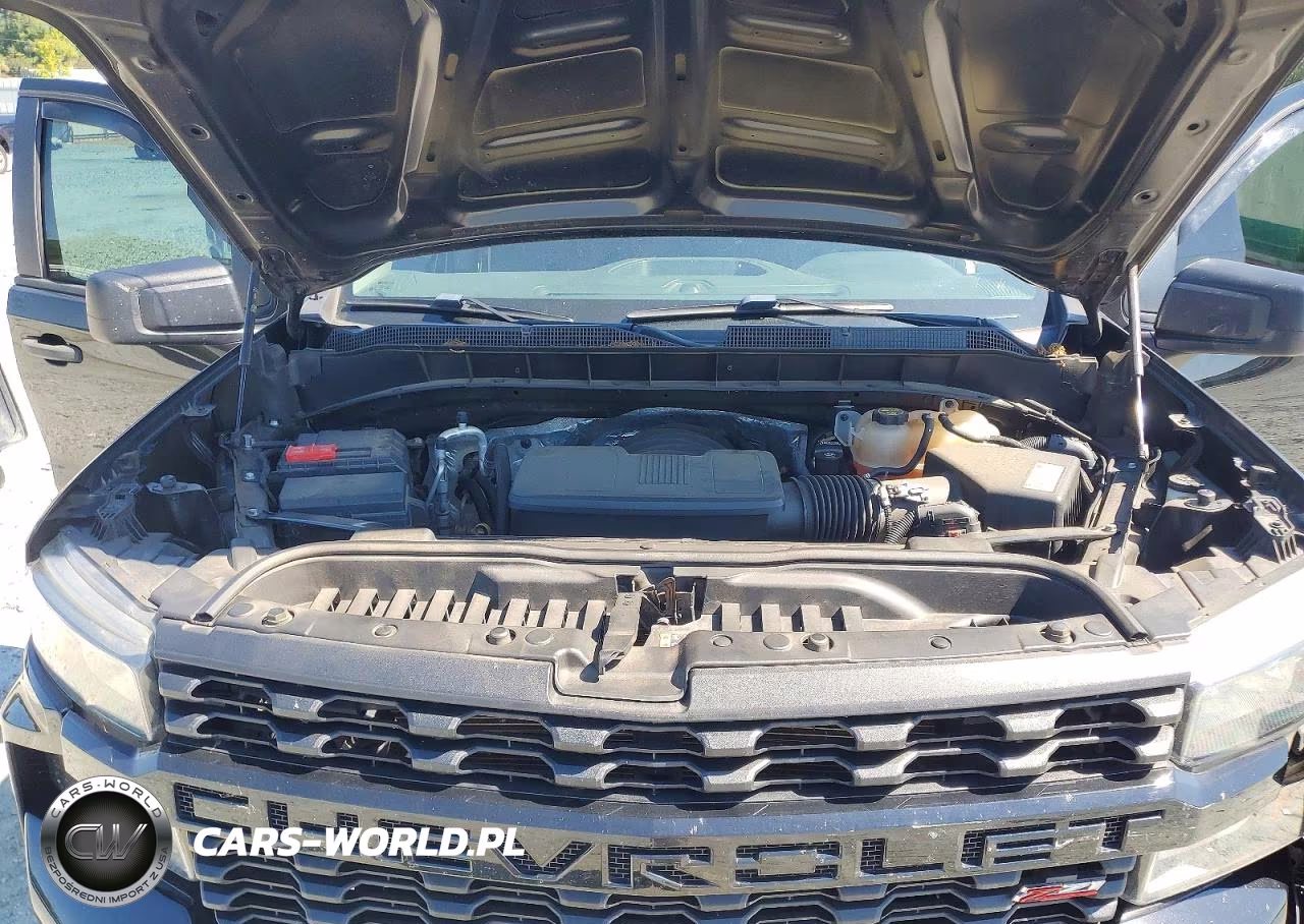 2019 Chevrolet Silverado K1500 Trail Boss Custom VIN:3GCPYCEF9KG160852 - 11