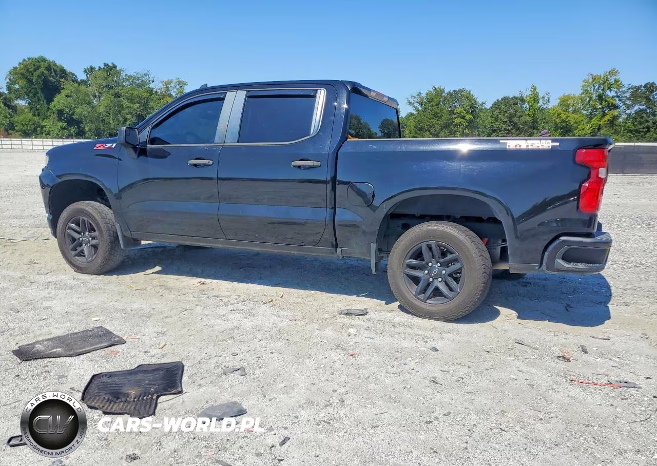 2019 Chevrolet Silverado K1500 Trail Boss Custom VIN:3GCPYCEF9KG160852 - 2