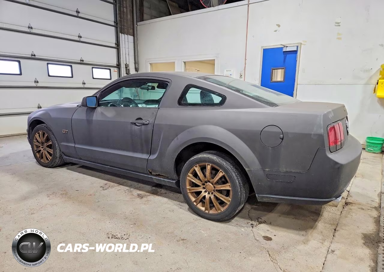 2007 Ford Mustang Gt VIN:1ZVHT82H075246245 - 2