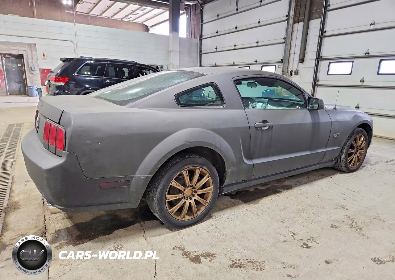 2007 Ford Mustang Gt VIN:1ZVHT82H075246245 - 3