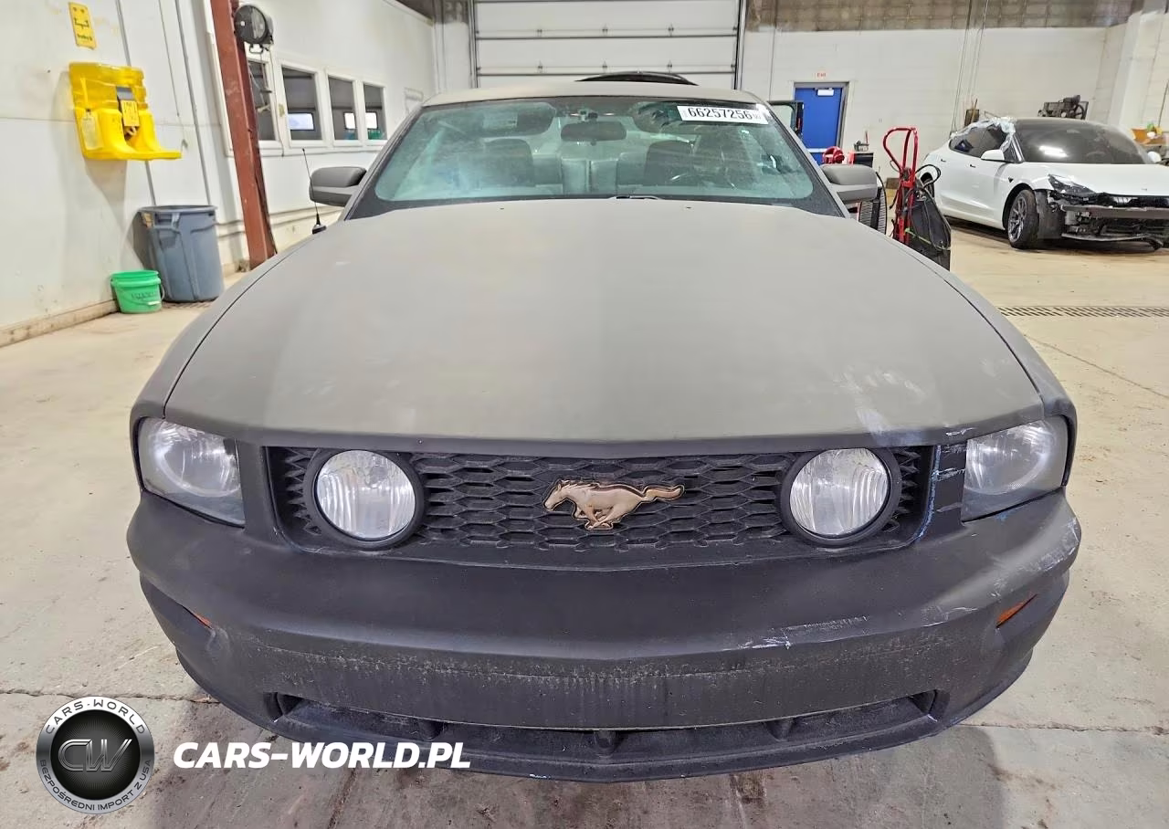 2007 Ford Mustang Gt VIN:1ZVHT82H075246245 - 5