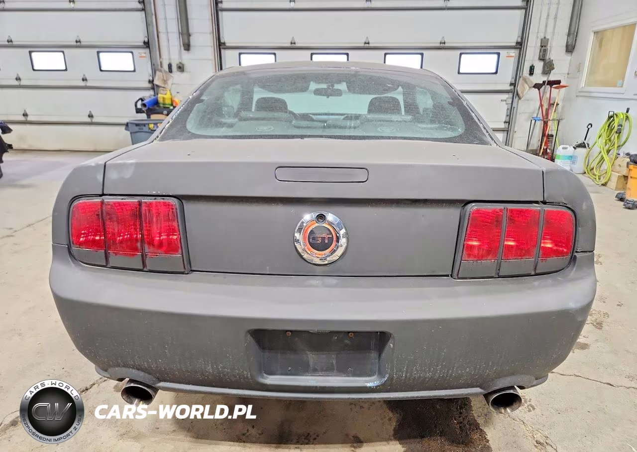 2007 Ford Mustang Gt VIN:1ZVHT82H075246245 - 6