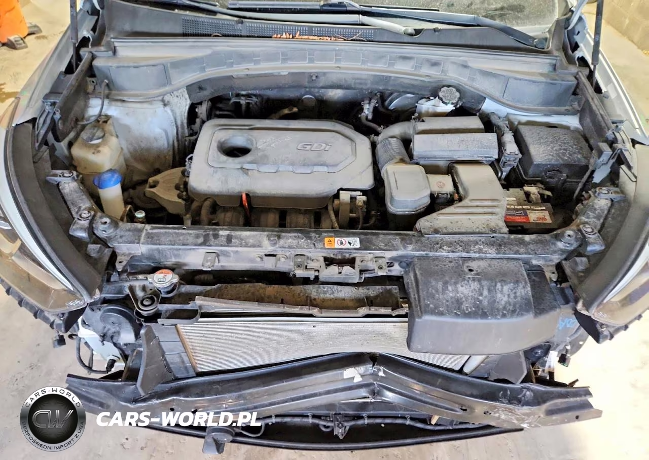 2018 Hyundai Santa Fe Sport 2.4L VIN:5XYZUDLB5JG570829 - 12
