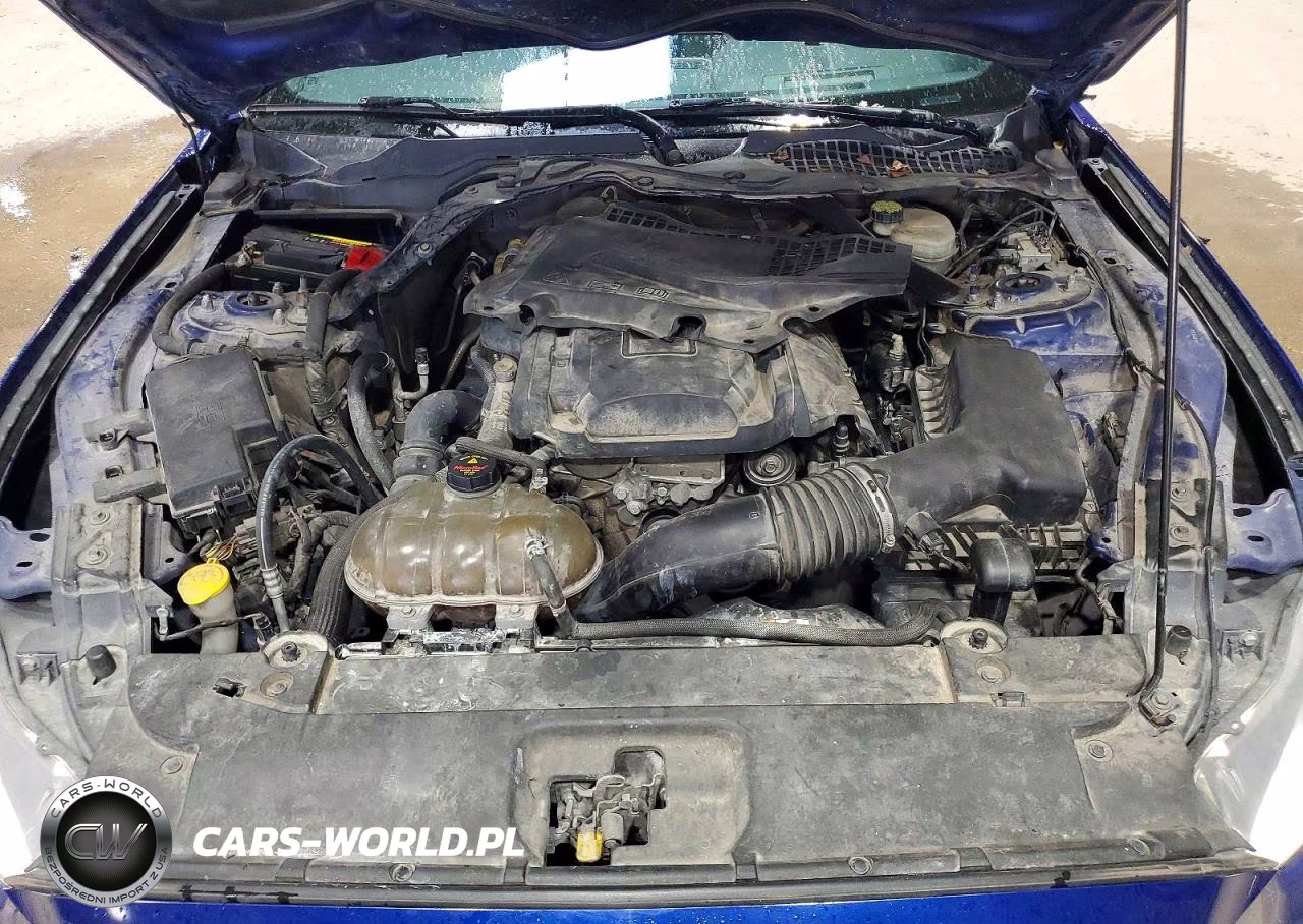 2015 Ford Mustang VIN:1FA6P8TH0F5423331 - 11