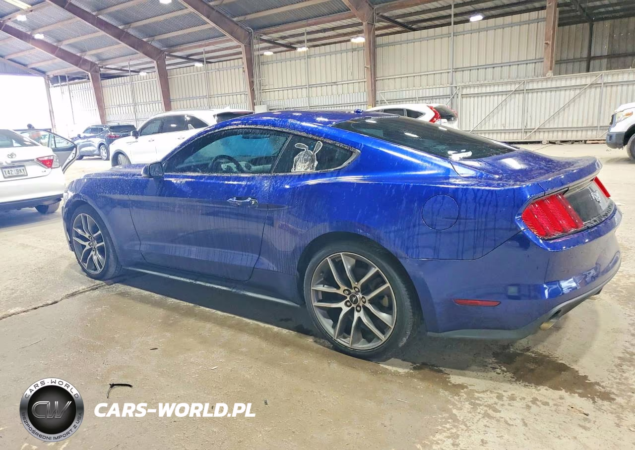 2015 Ford Mustang VIN:1FA6P8TH0F5423331 - 2