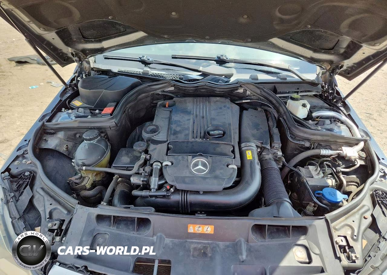 2013 Mercedes-Benz C 250 VIN:WDDGJ4HBXDF989457 - 11