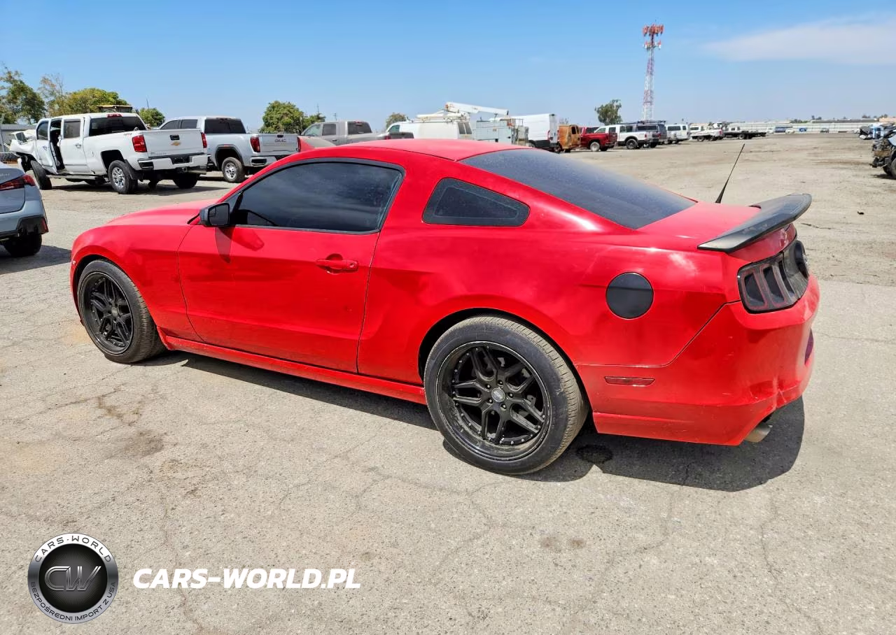2014 Ford Mustang VIN:1ZVBP8AMXE5310085 - 2