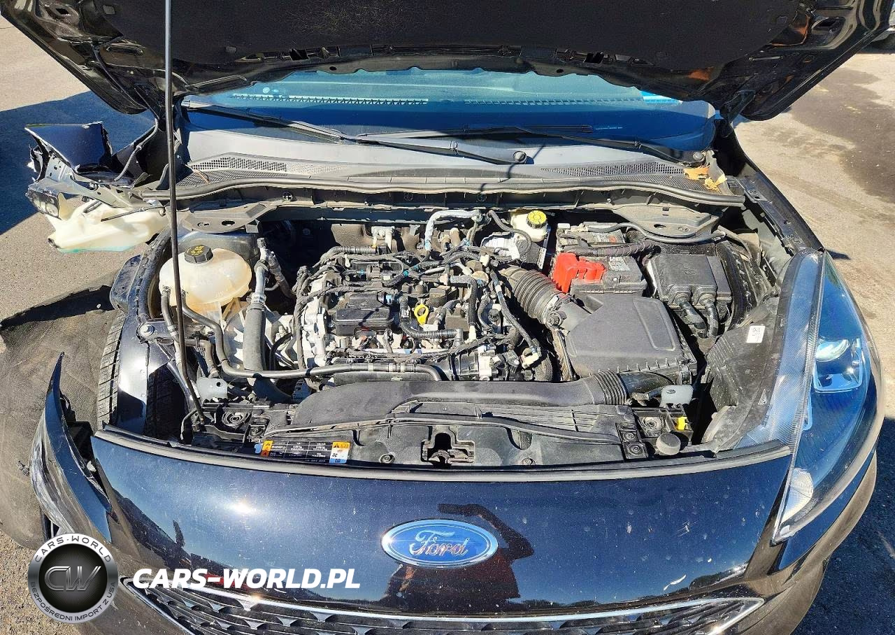 2020 Ford Escape Se VIN:1FMCU0G65LUC50256 - 11