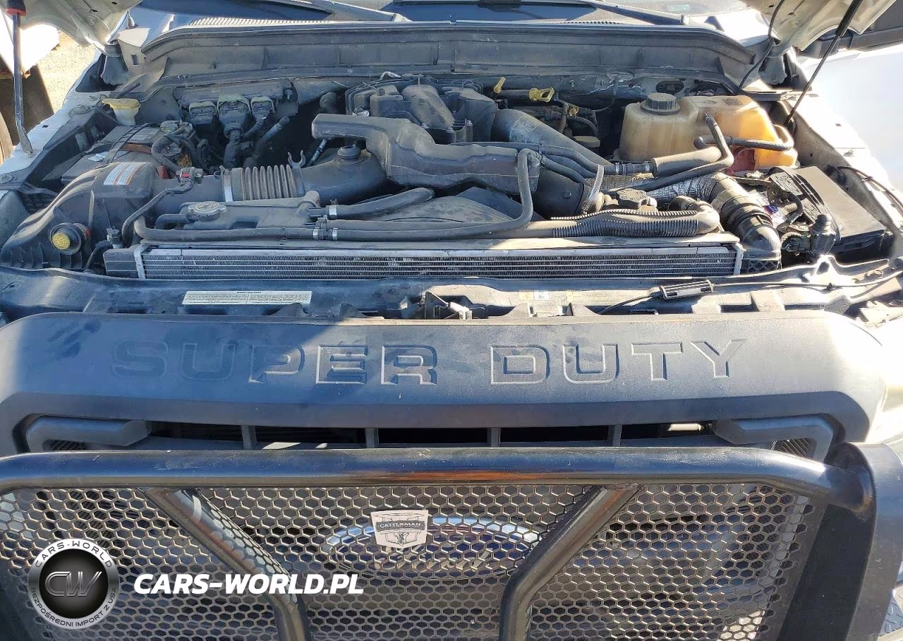 2015 Ford F350 Super Duty VIN:1FD8W3HT6FEB43799 - 11