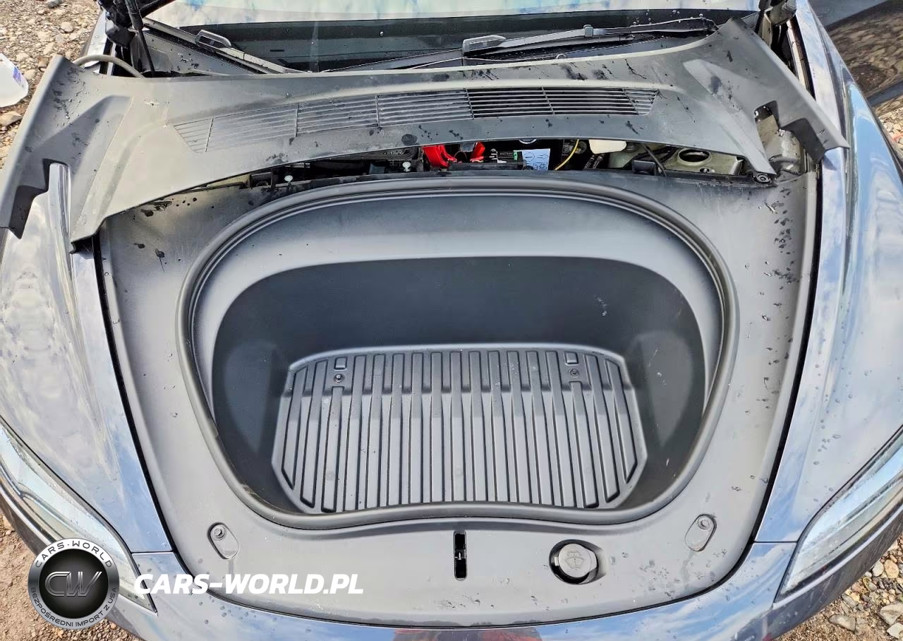 2025 Tesla Model 3 VIN:5YJ3E1EA5SF043033 - 11