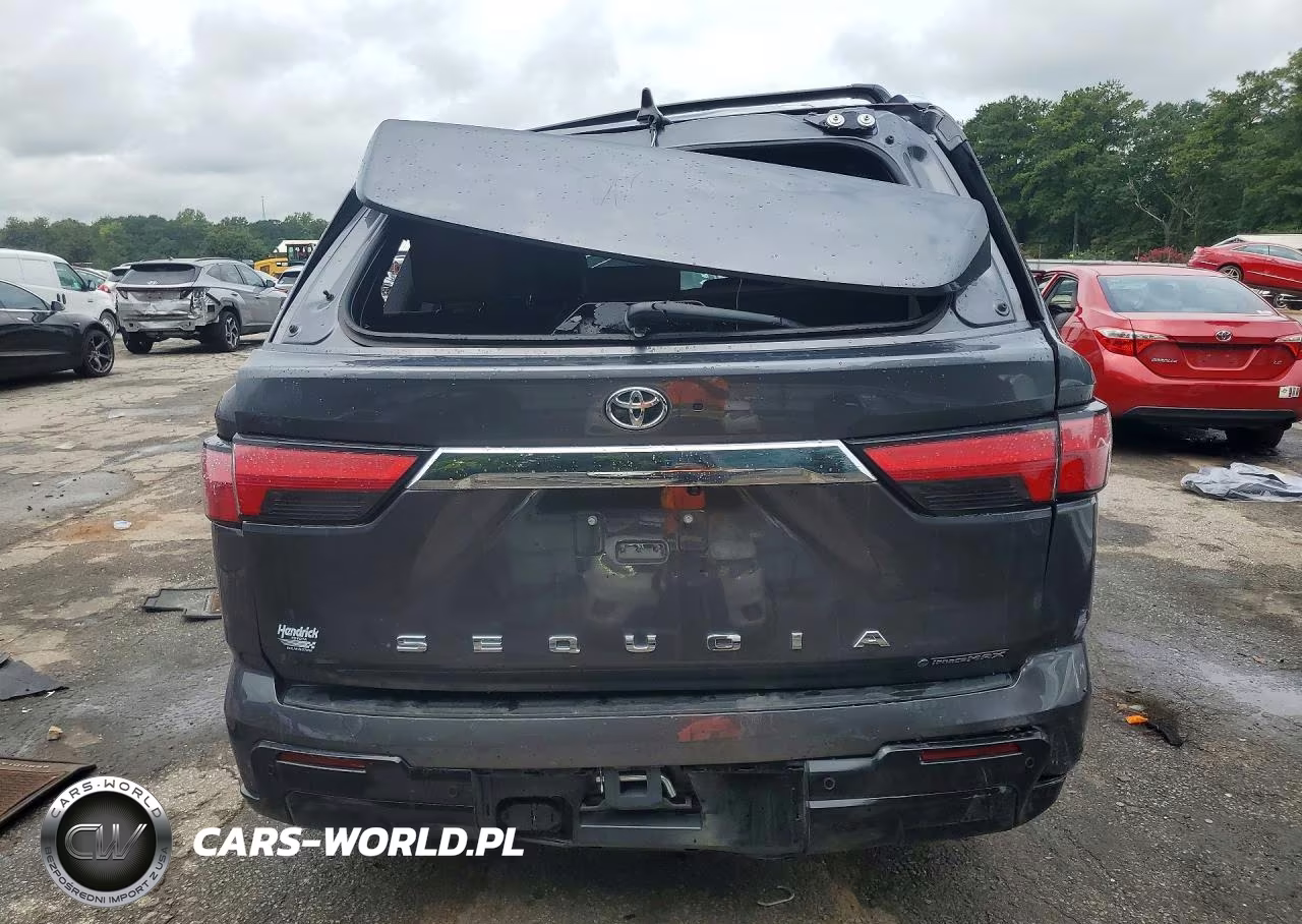 2026 Toyota Sequoia 1794 Edition VIN:7SVAAABA4TX080255 - 6