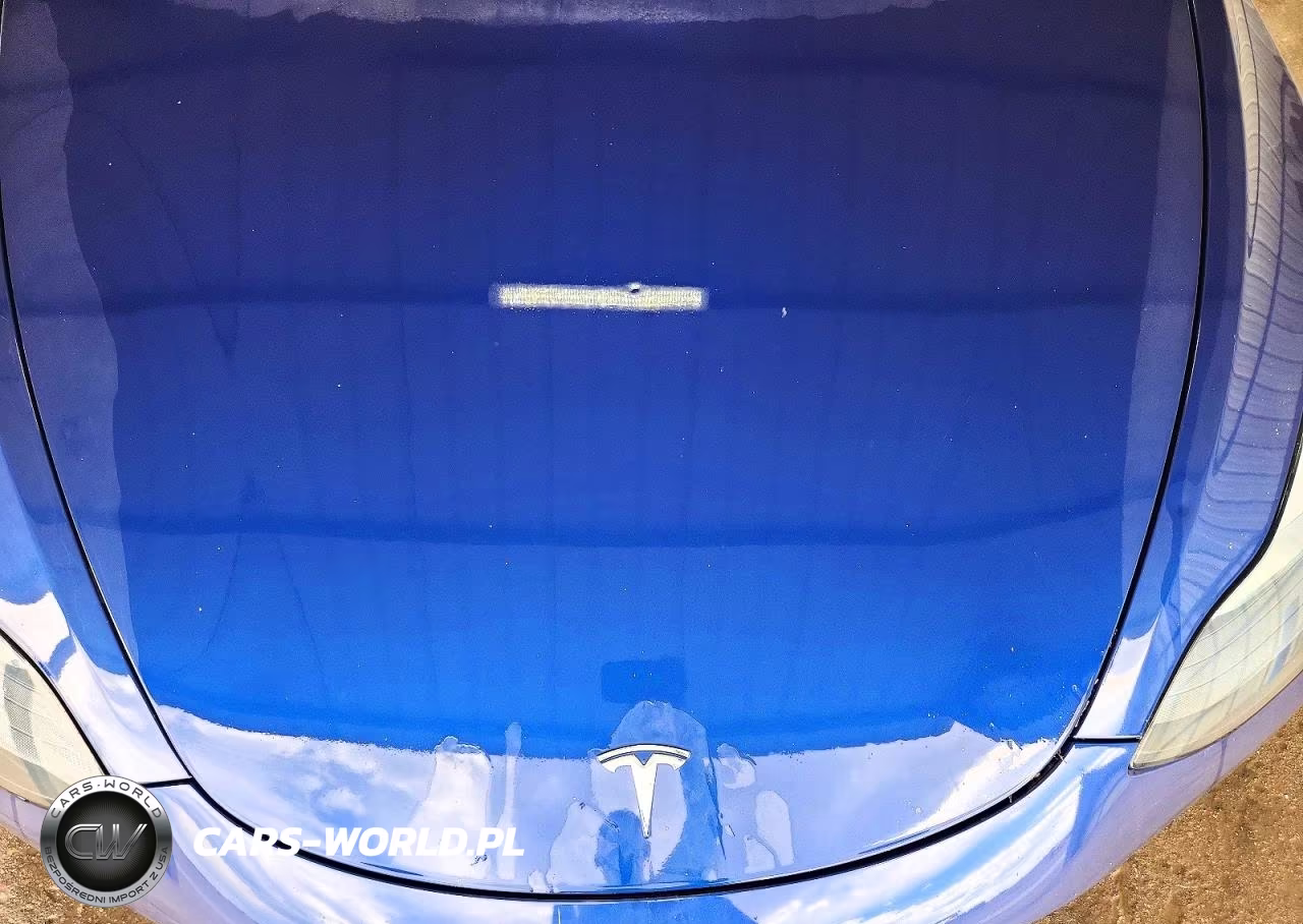 2022 Tesla Model 3 VIN:5YJ3E1EA3NF189967 - 11