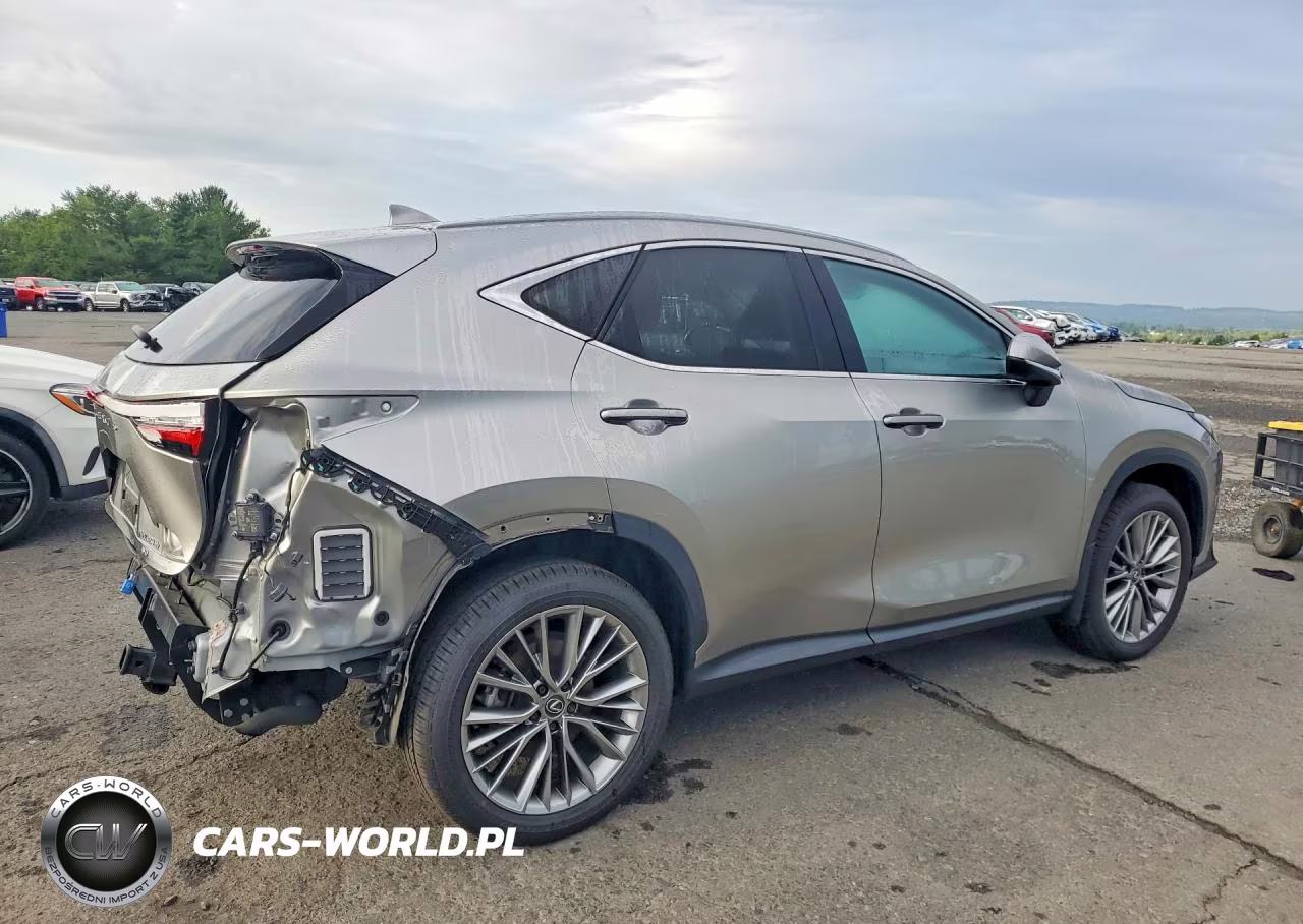 2024 Lexus Nx 350H Luxury VIN:JTJHKCEZ1R2037966 - 3