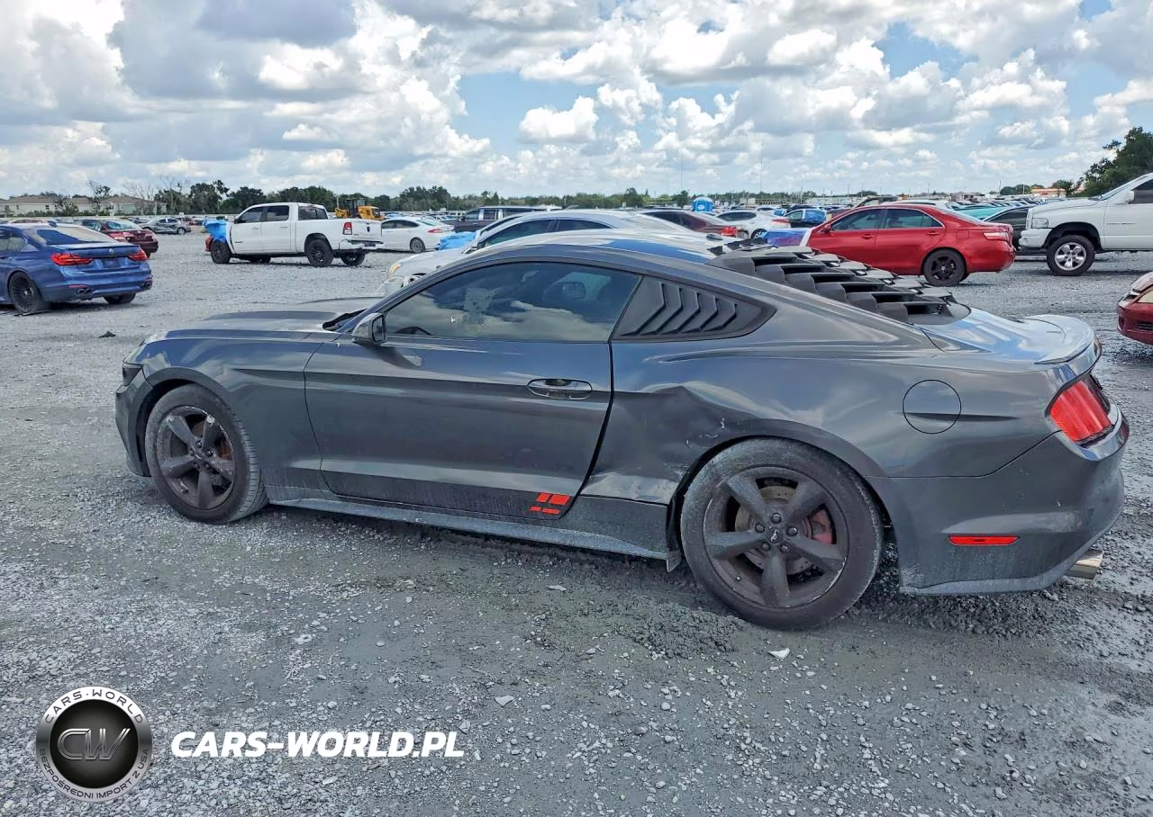 2017 Ford Mustang VIN:1FA6P8THXH5249366 - 2